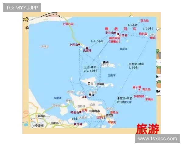 武汉极限运动队区域防守策略揭秘与深度分析